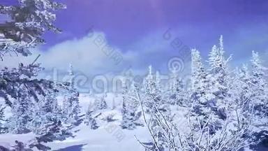 冬天的树木在山上覆盖着新鲜的雪，缓慢地运动。 <strong>1920</strong>x1080